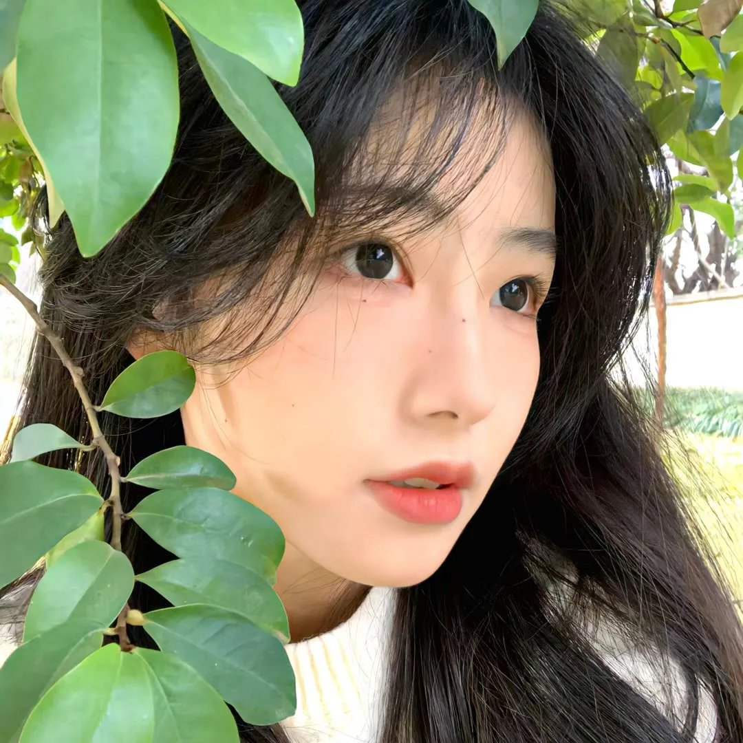 梦想成为魔法少女